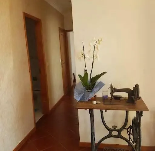 Beach-surf House Appartamento *